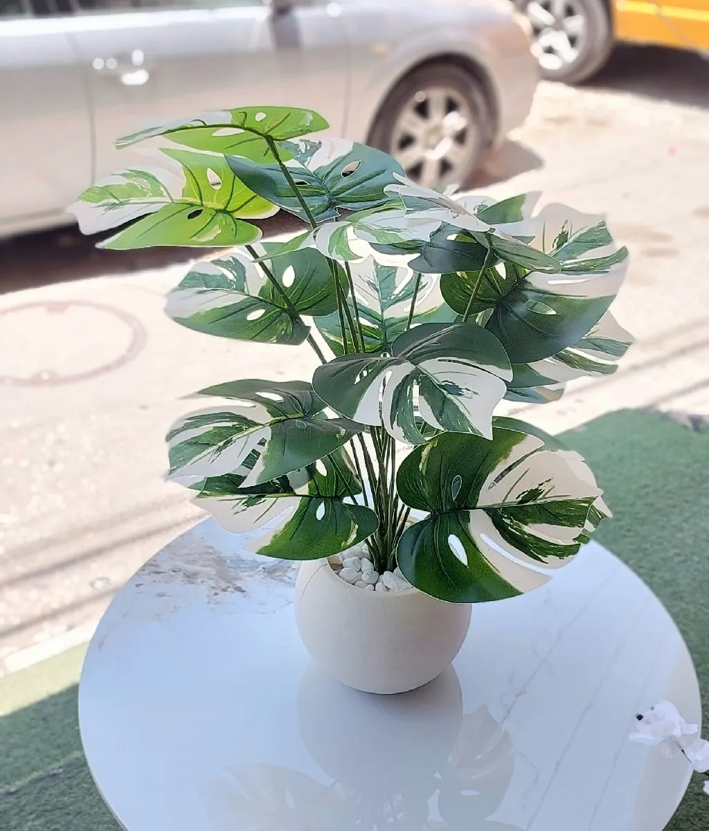 قوار خضار