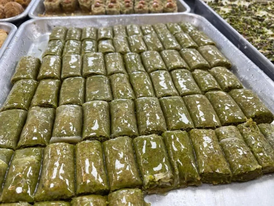 عرض التوجيهي